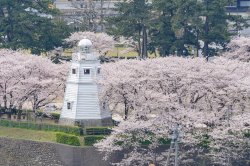 台場公園