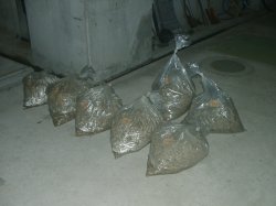 下水道管の清掃後に終末処理場（佐斐神町）まで流れてきた油脂の塊１３０kg