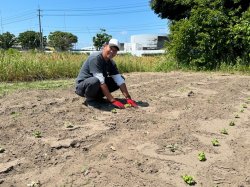伯州綿の畑で作業をする地域おこし協力隊
