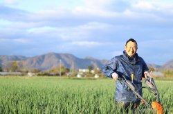 H３０年度の新規就農者