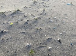 砂浜のプラスチックごみ