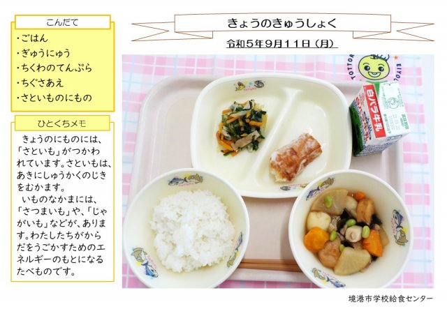 9月11日盛り付け写真