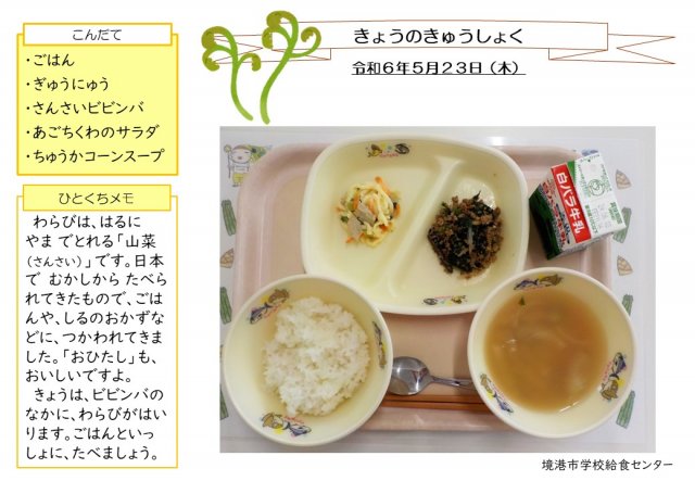 5月23日盛り付け写真