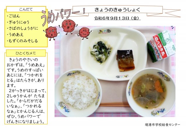 9月13日盛り付け写真
