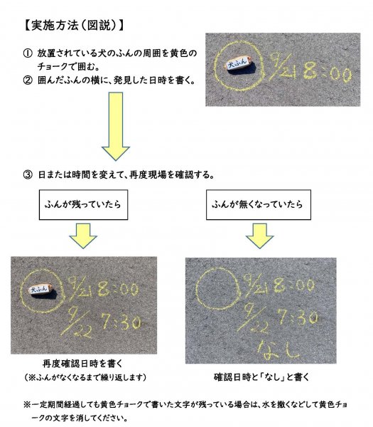 手順（図解）