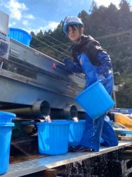 養魚場で作業する同社の女性スタッフ