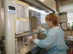 検査中の品質管理グループのスタッフ