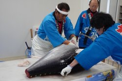 マグロ解体の様子