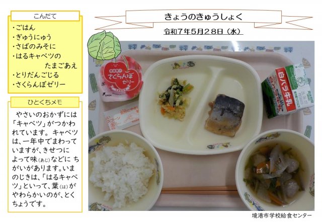 5月28日盛り付け写真