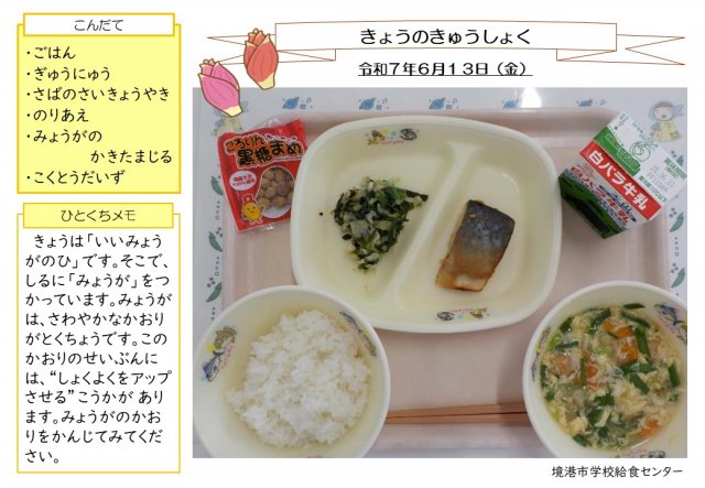6月13日盛り付け写真
