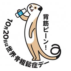骨粗鬆症財団画像