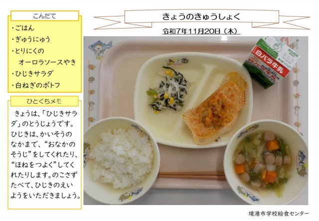 11月20日盛り付け写真