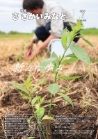 市報さかいみなと７月号